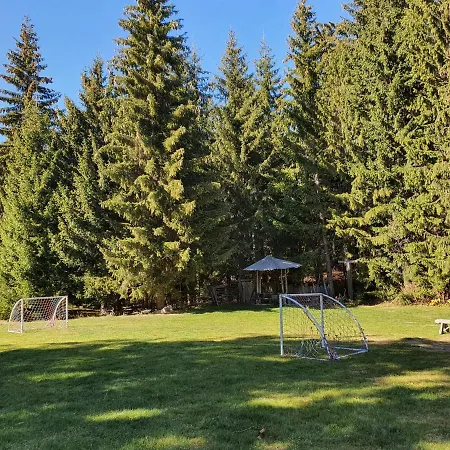 вю, флора, комплекс маунтин 4*