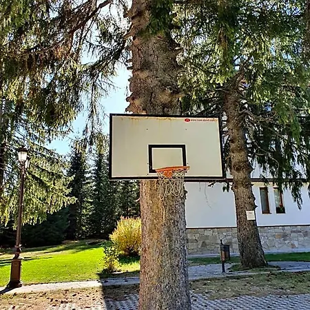 вю, флора, комплекс маунтин