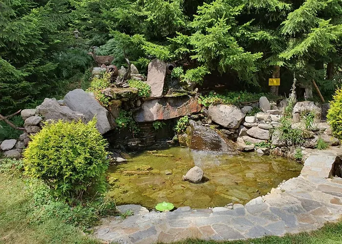 вю, флора, комплекс маунтин