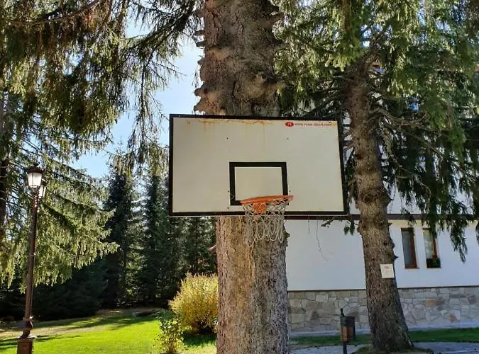 Apart-hotel вю, флора, комплекс маунтин